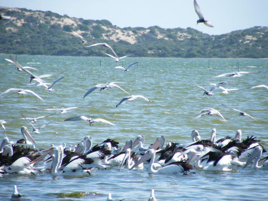 Coorong Waterfront Retreat Villa Meningie Exterior foto